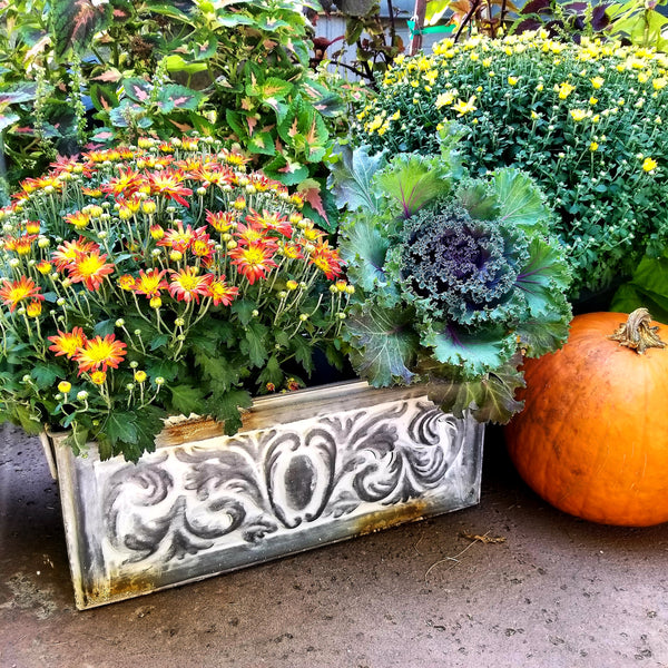 Container Gardening Ideas for the Fall
