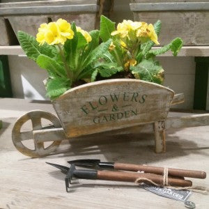 Potting Up A Container Garden