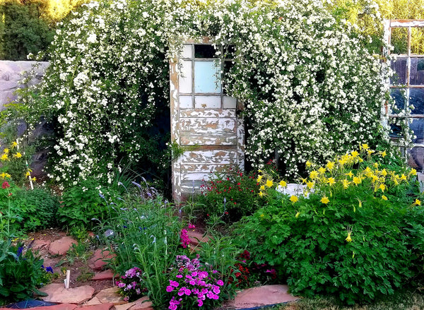 How to Create a Country Cottage Flower Garden