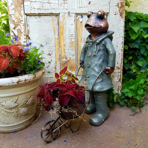 Decorative Garden Frogs...Just Too Irresistible in this Week's Find of the Week