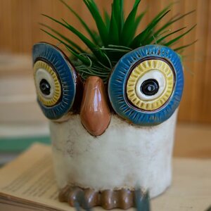Set of 3 Ceramic Owl Planters