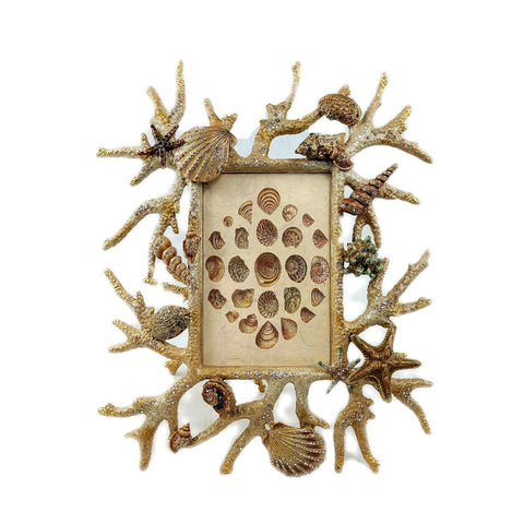 Large Jay Strongwater Grotto Coral Reef Frame Jasper White Washed Original Tag