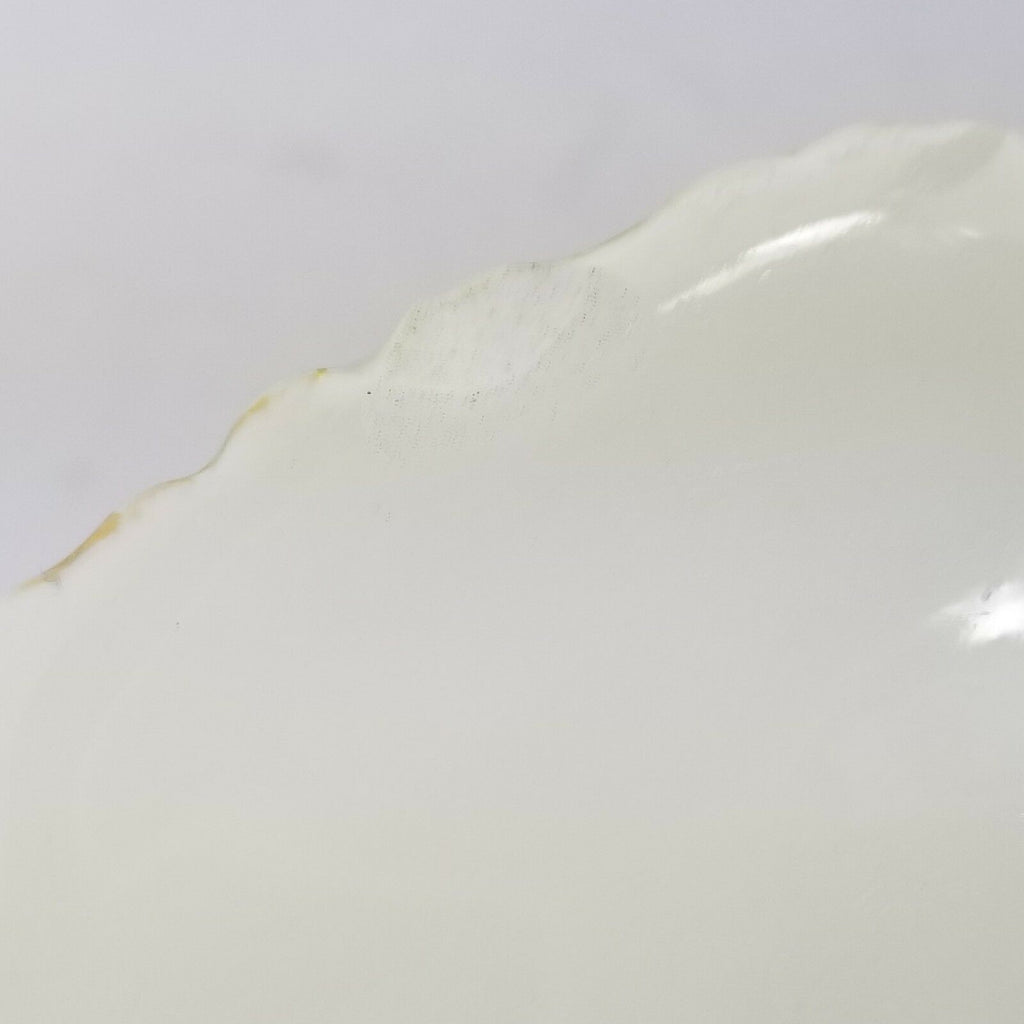 Antique Jean Pouyat Limoges Porcelain Charger Plate and Footed Ferner Jardiniere Vase