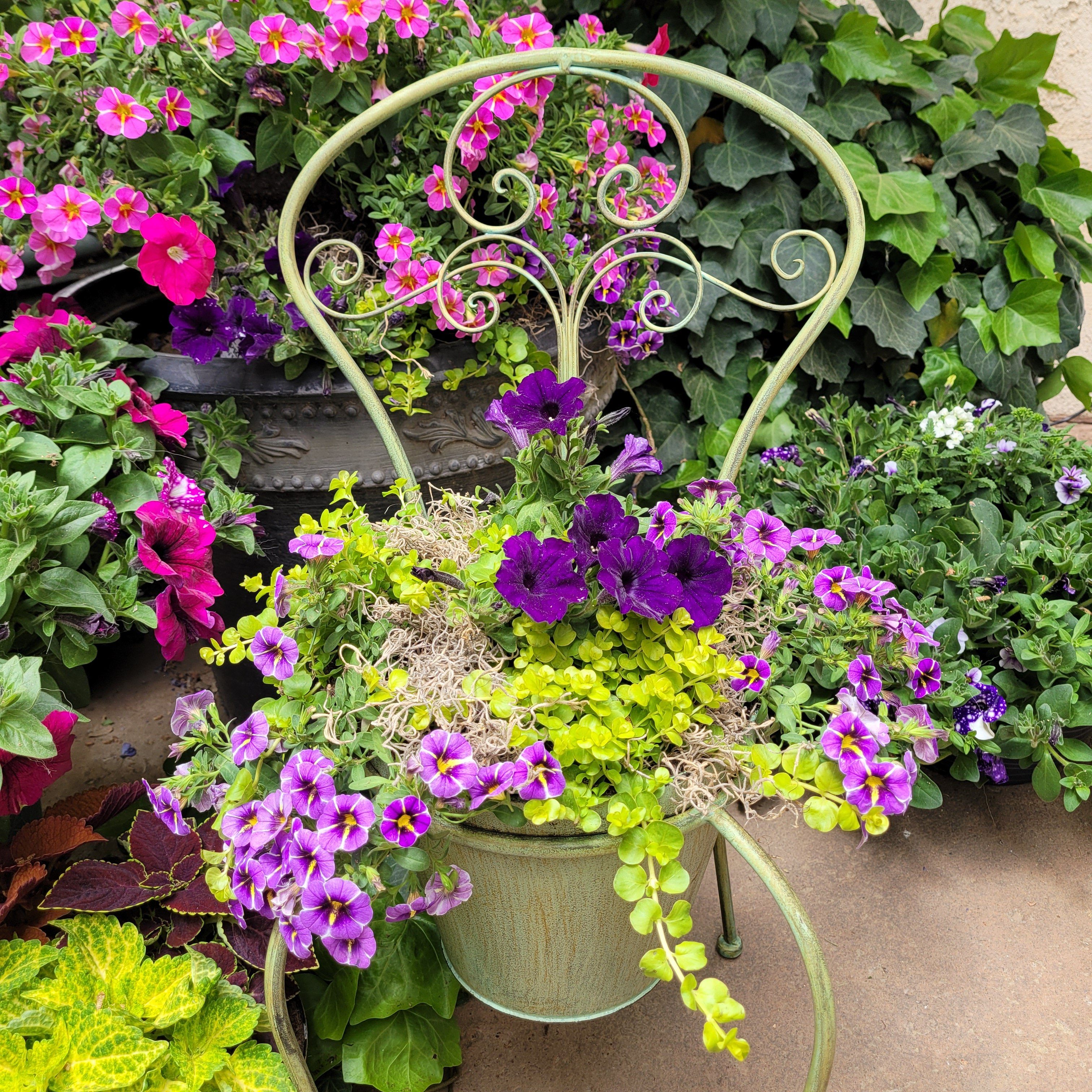 Vintage Style Metal Garden Chair Planter - Main Image