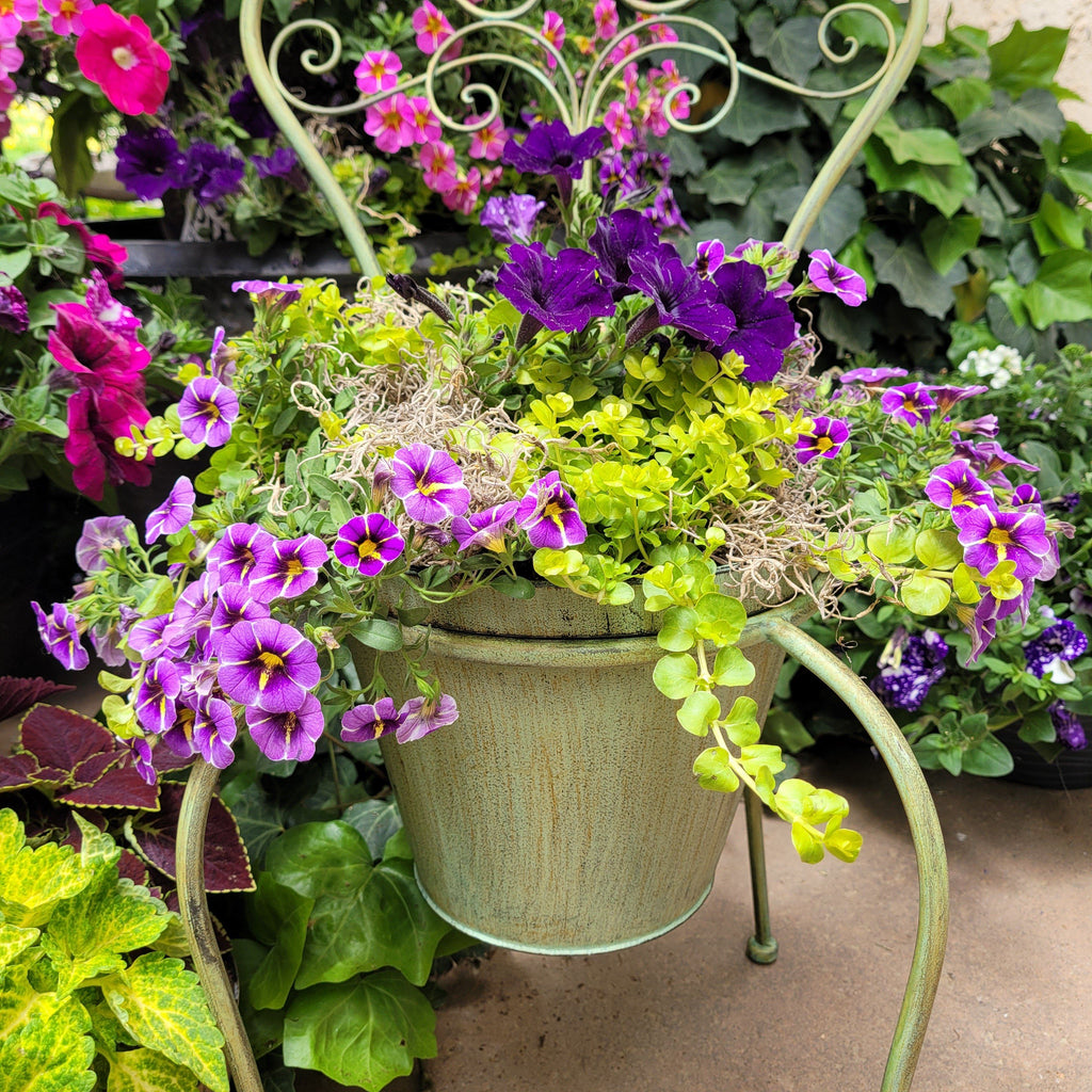 Antique Style Metal Garden Chair Planter