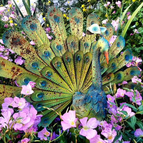 Colorful Rustic Garden Peacock