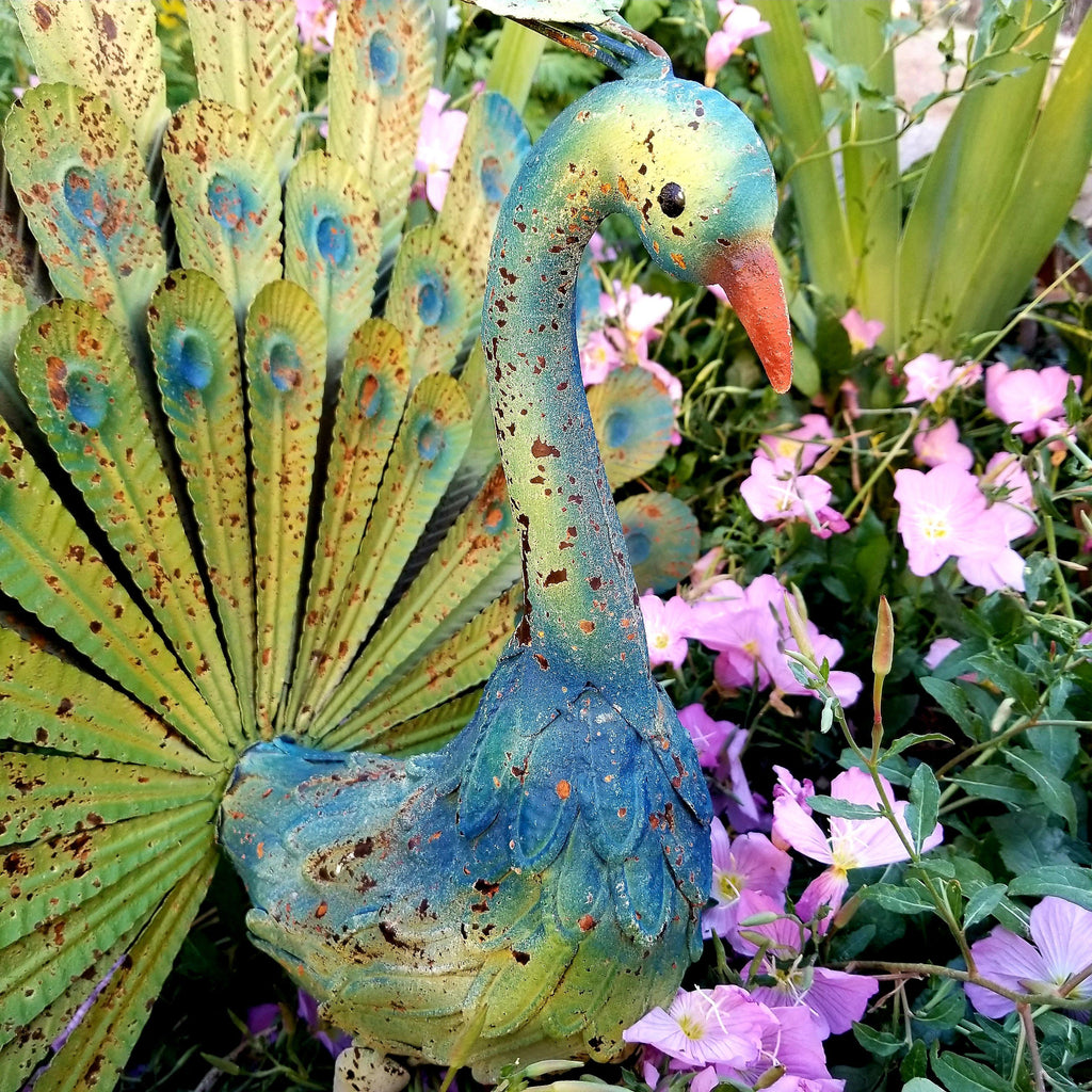 Colorful Rustic Garden Peacock