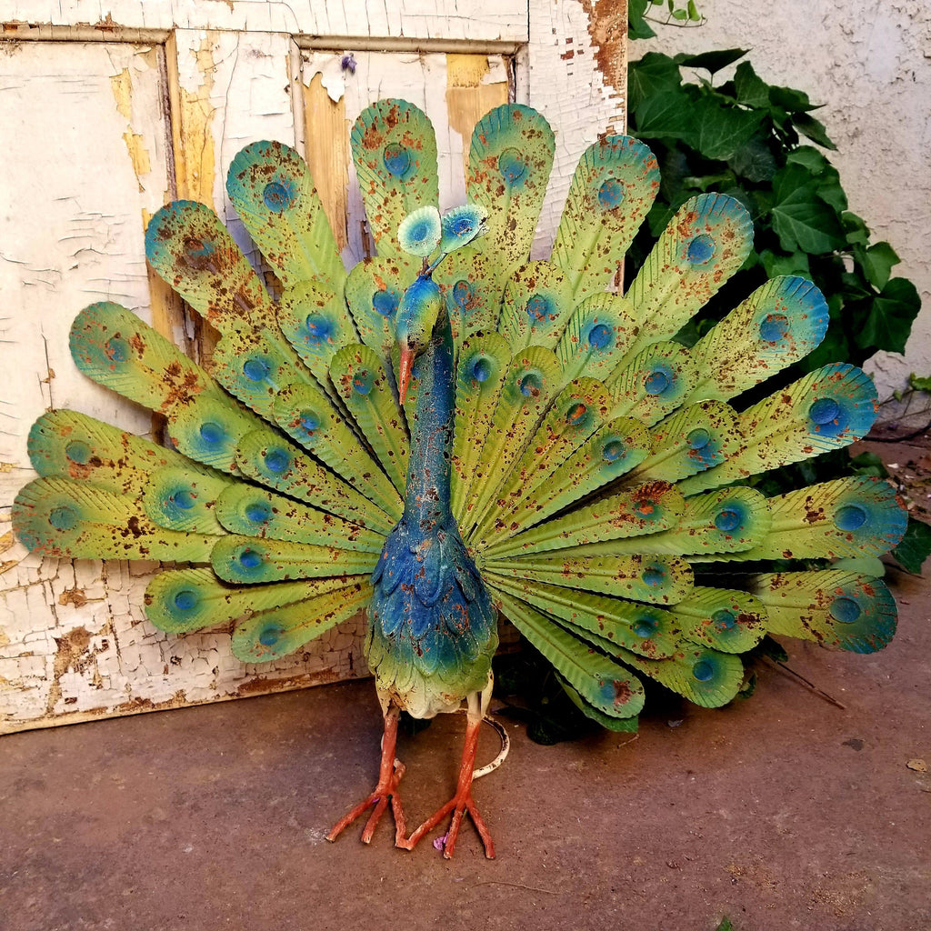 Colorful Rustic Garden Peacock