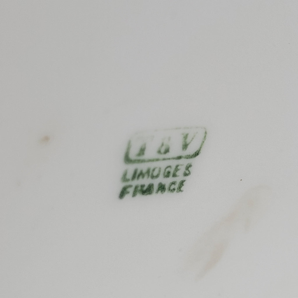 Limoges France Hand Painted Porcelain Monument Vase With Irises 13"