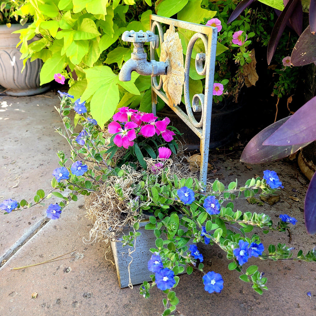 Metal Garden Hose Tub With Faucet Flower Planter