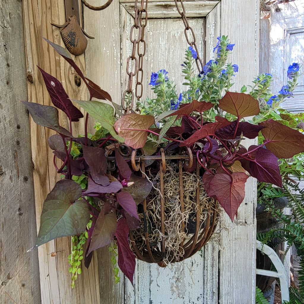 Rustic Iron Hanging Flower Planter Basket